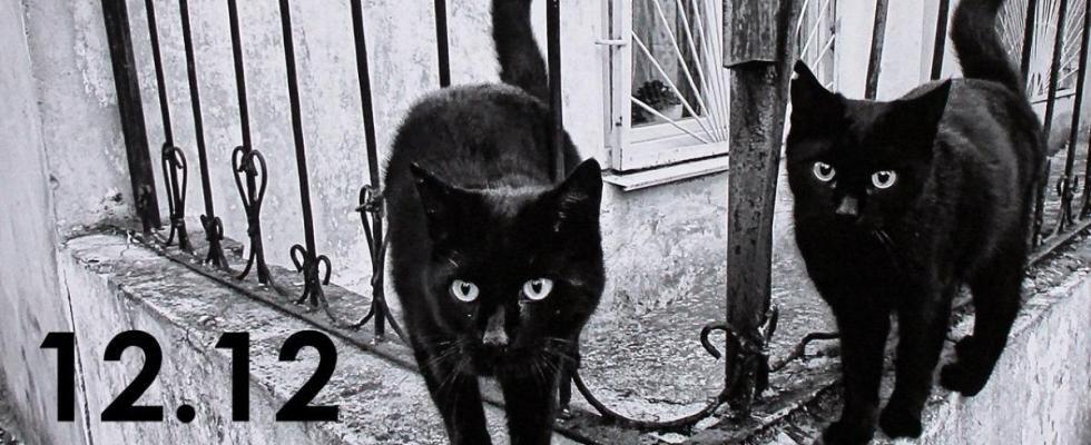 Город — среда обитания