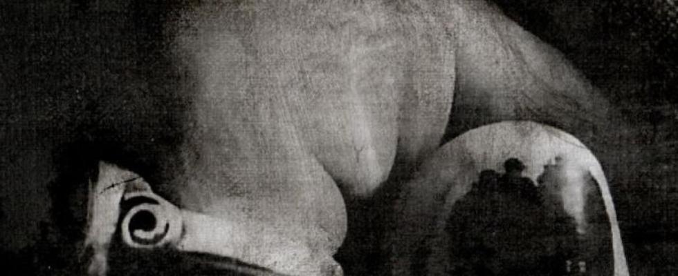 Мелкое волнение ветра. Саша Белле