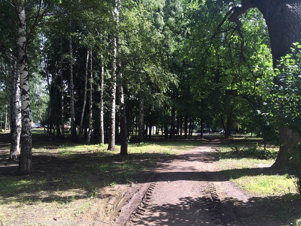 Цпкио театр рязань. Роща парк рязань. Роща парк рязань. Парк рюмина роща рязань. Цпкио рюмина роща рязань.