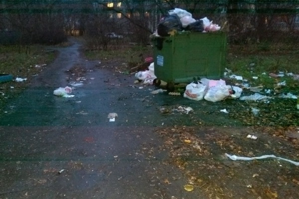 Рязанцы пожаловались на работу нового мусорного оператора Рязанцы пожаловались на работу нового мусорного оператора
