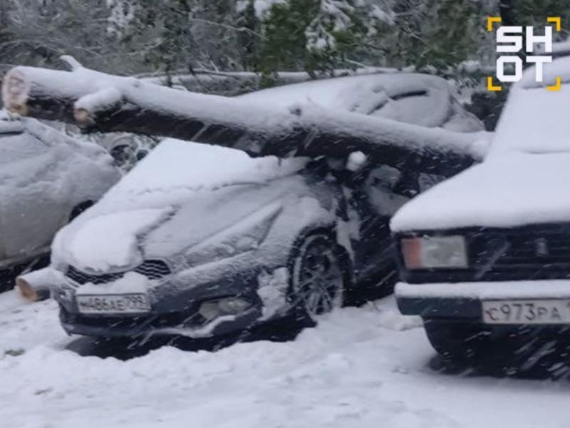 Москву и область завалило снегом Москву и область завалило снегом