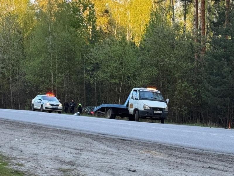 В Рязанской области легковушка съехала в кювет