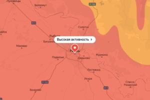 Рязанская область оказалась в опасной для аллергиков зоне