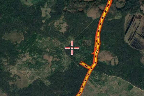 Волонтеры нашли заблудившихся в лесу рязанок