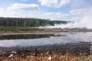 На собственника свалки в Турлатове возбудили еще два уголовных дела