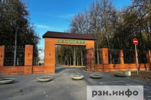 В рязанском Лесопарке появится площадка для городошного спорта