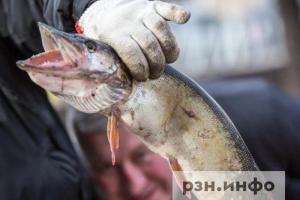 Почти 1,5 тысяч рязанцев оштрафовали за незаконную торговлю