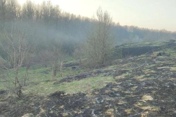 В Рязанской области тушили пожар рядом с лесом и жилыми домами