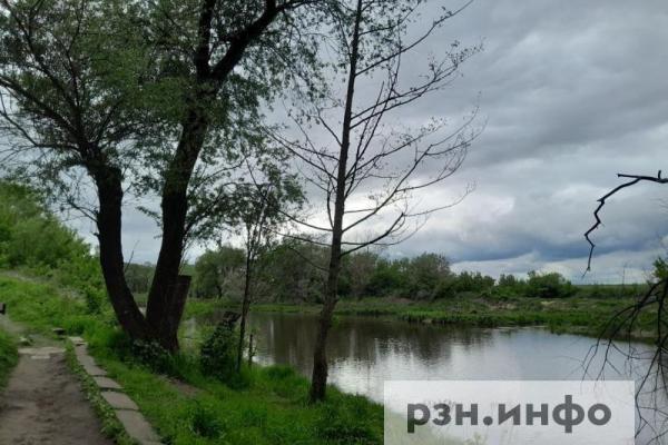 До +26 градусов прогреется температура воздуха в Рязанской области 13 мая