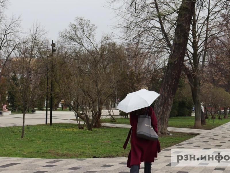 Рязанцам рассказали о погоде 31 мая
