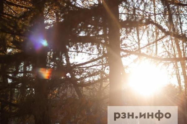 Рязанцев предупредили о сохранении высокой пожарной опасности в регионе