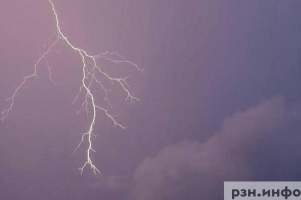 В Рязанской области ожидаются ливни и грозы