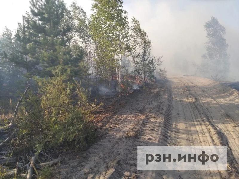 В Рязанской области объявили четвертый класс пожарной опасности