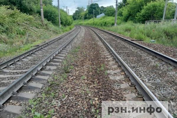 Почти 30 человек погибли на ж/д путях Рязанской области в 2026 году
