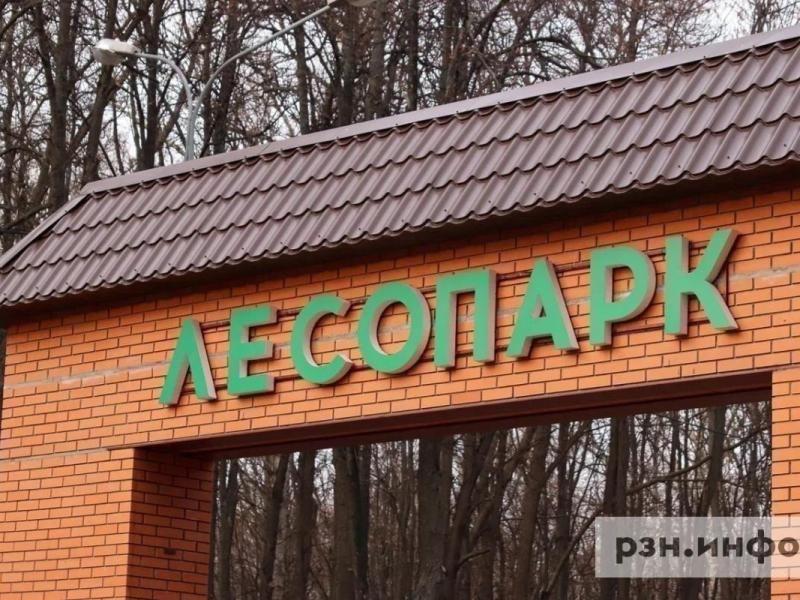 Около Лесопарка в Рязани появится скейт-парк, памп-трек и спортплощадки