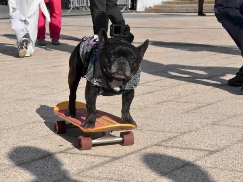 Малков заявил, что BRICS SKATE CUP пройдет в Рязани в 2027 году