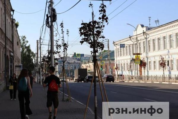 В Рязанской области потеплеет до +26 градусов