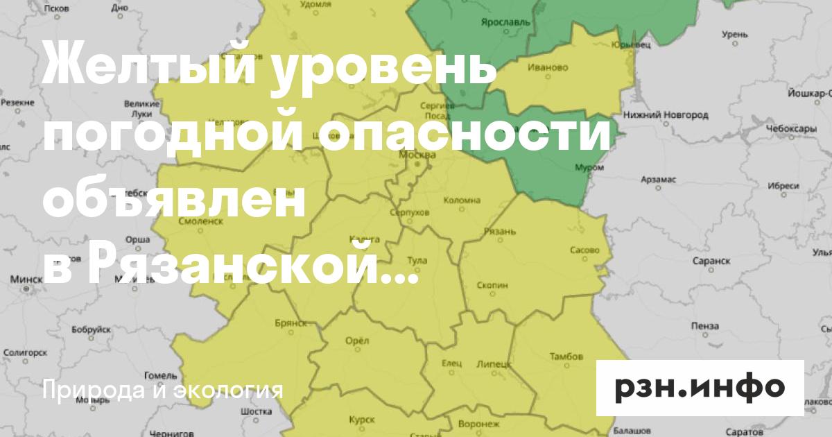 В Рязанской области объявлен желтый уровень погодной опасности из‑за сильного ветра