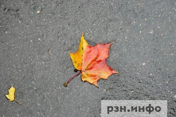 12 октября в Рязанской области температура опустится до 5 °C