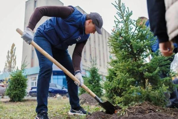 В Рязани высадили деревья на участке улицы Есенина