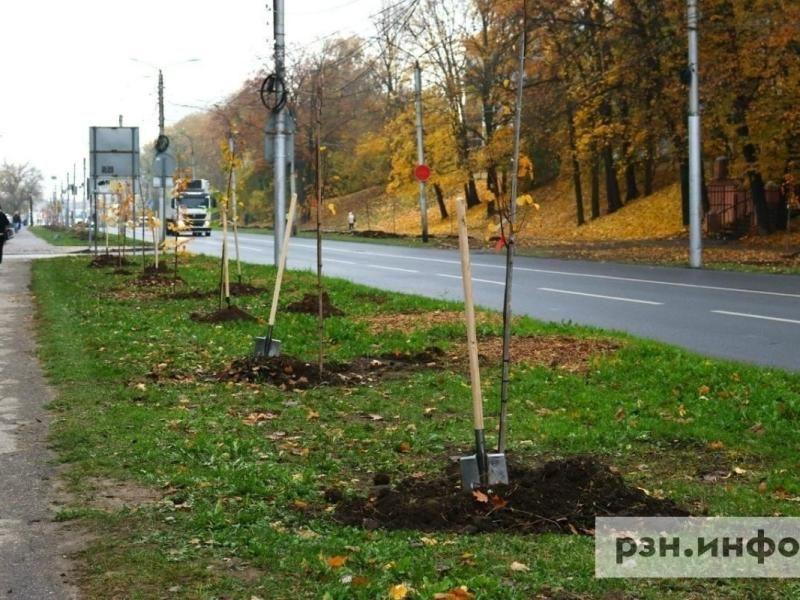 В Рязани дорогу на улице Есенина расширят до четырех полос