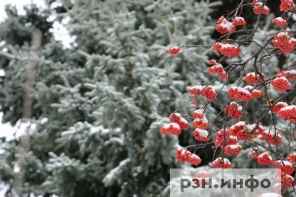 Рязанскую область накроют заморозки
