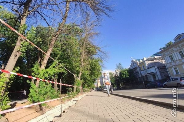 Эксперты-биологи объяснили гибель деревьев в «Наташкином» парке