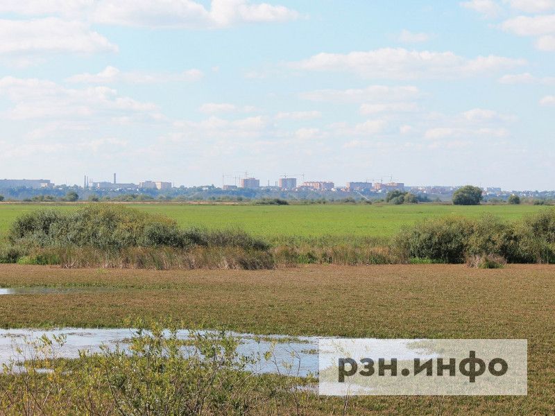 Эксперт перечислил нарушения проекта карьера в Заокском