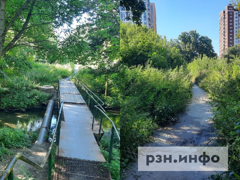 Как выглядит маршрут от ЦПКиО до рязанского Лесопарка