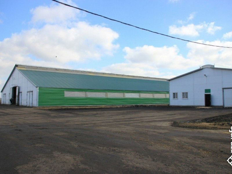 Союз свиноводов прокомментировал строительство свинокомплексов в Михайловском районе